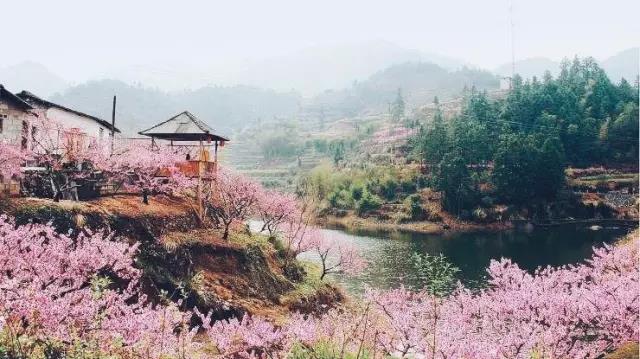 中國的桃花源和西方的烏托邦，是全人類的精神遺產(chǎn)
